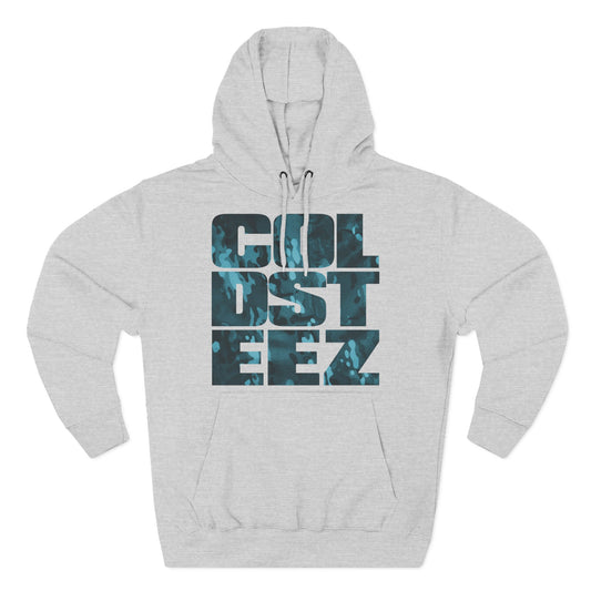 ColdSteez Grey Hoodie showing the "Arctic Block" best Streetwear logo design on the front
