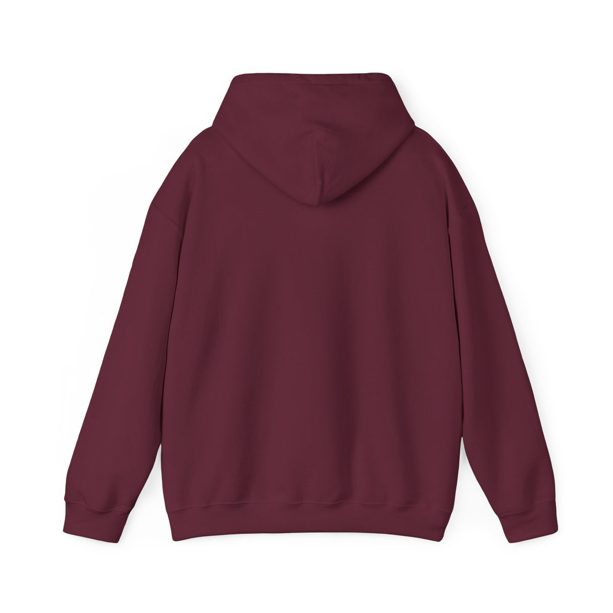 ColdSteez (CS013H) – "ColdWings" Graphic Hoodie | UK Streetwear
