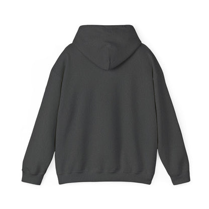 ColdSteez (CS013H) – "ColdWings" Graphic Hoodie | UK Streetwear