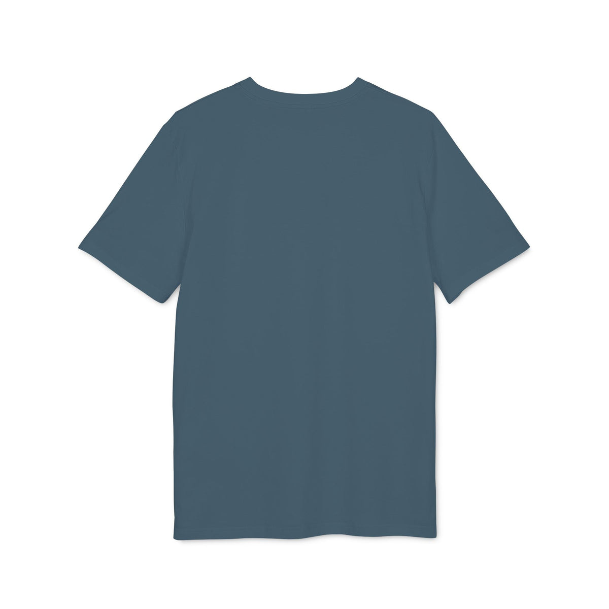 Printify ColdSteez (CS013T) – "ColdWings" T-Shirt T-Shirt 