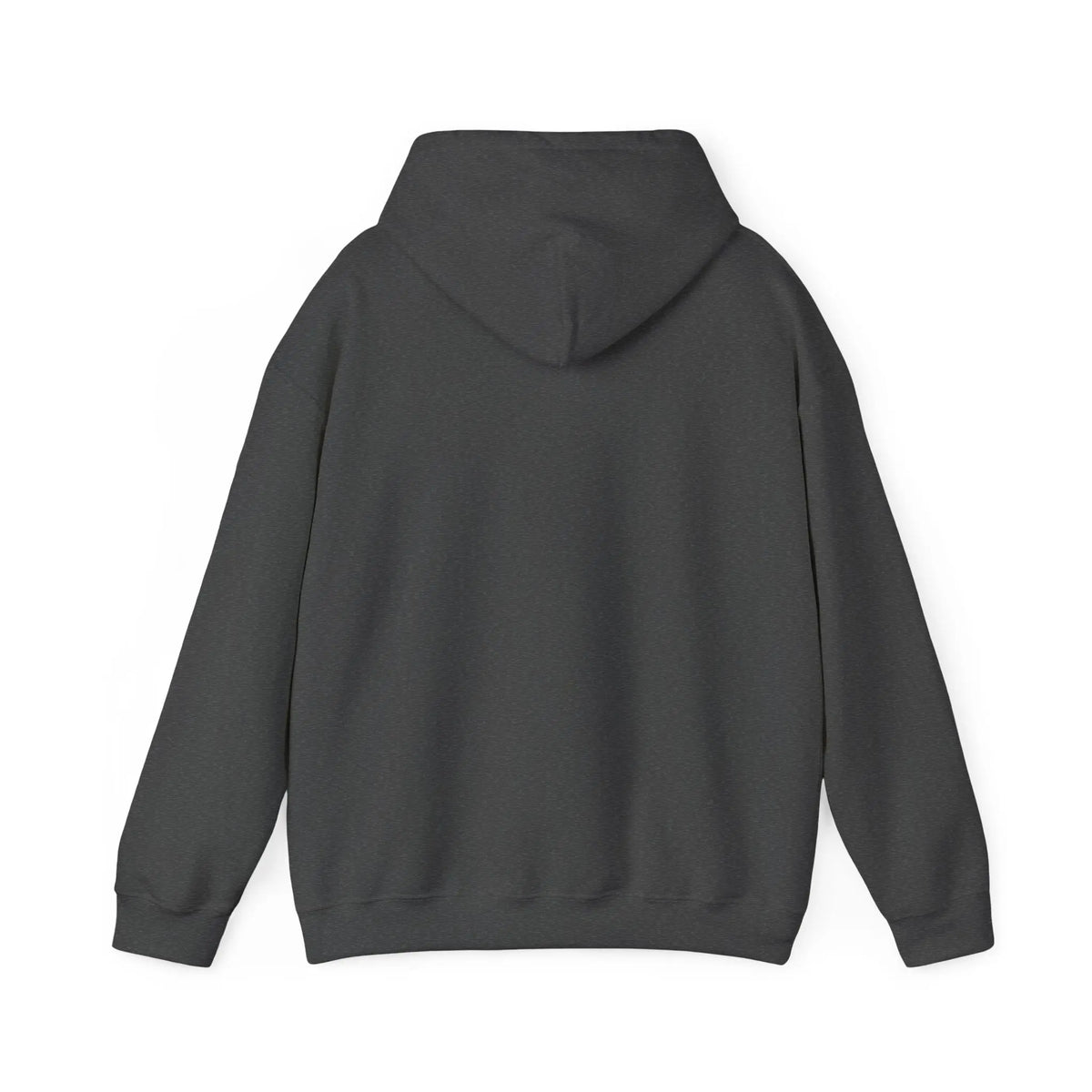 ColdSteez (CS005H) - “SEND IT” Hoodie. – ColdSteez UK Streetwear