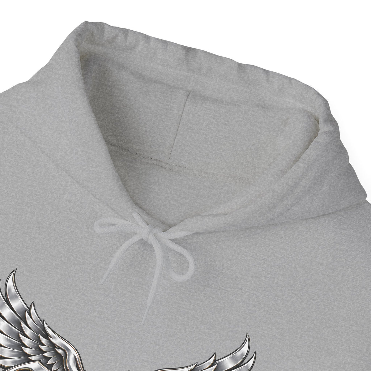 ColdSteez (CS013H) – "ColdWings" Graphic Hoodie | UK Streetwear