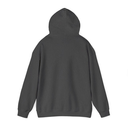 ColdSteez (CS013H) – "ColdWings" Graphic Hoodie | UK Streetwear