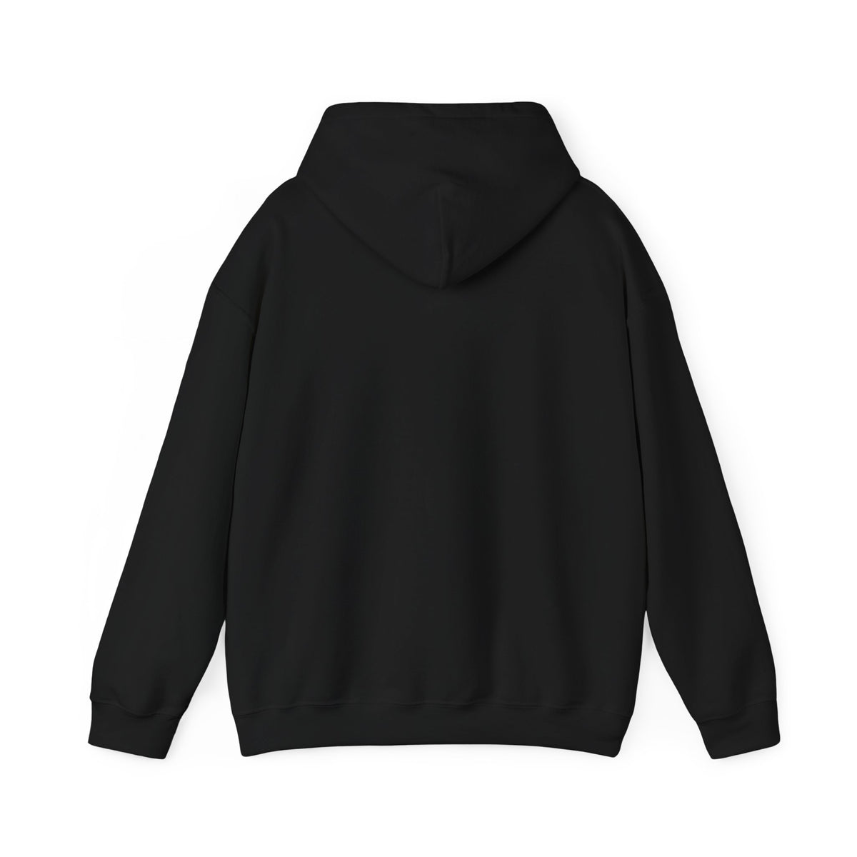 ColdSteez (CS013H) – "ColdWings" Graphic Hoodie | UK Streetwear