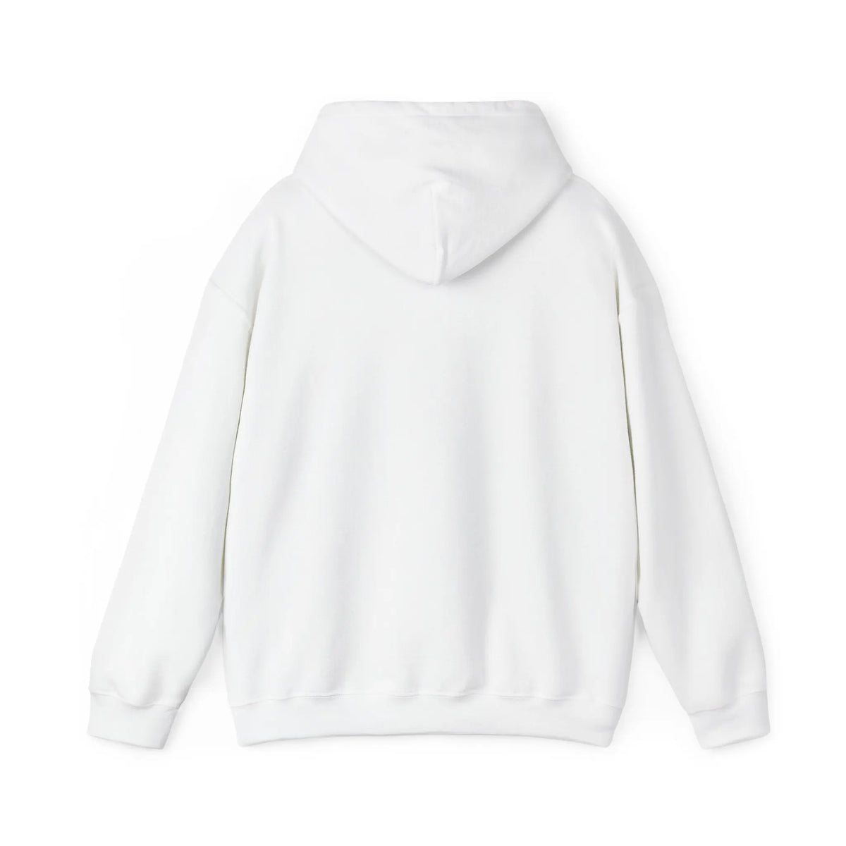ColdSteez (CS005H) - “SEND IT” Hoodie. – ColdSteez UK Streetwear