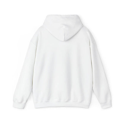 ColdSteez (CS005H) - “SEND IT” Hoodie. – ColdSteez UK Streetwear