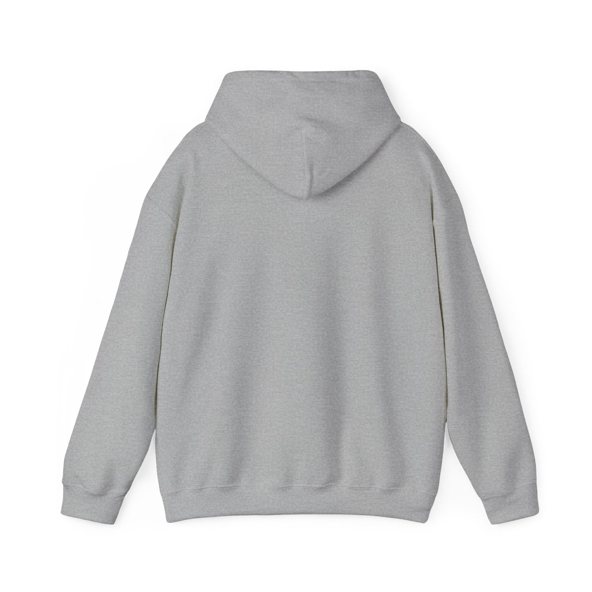 ColdSteez (CS013H) – "ColdWings" Graphic Hoodie | UK Streetwear