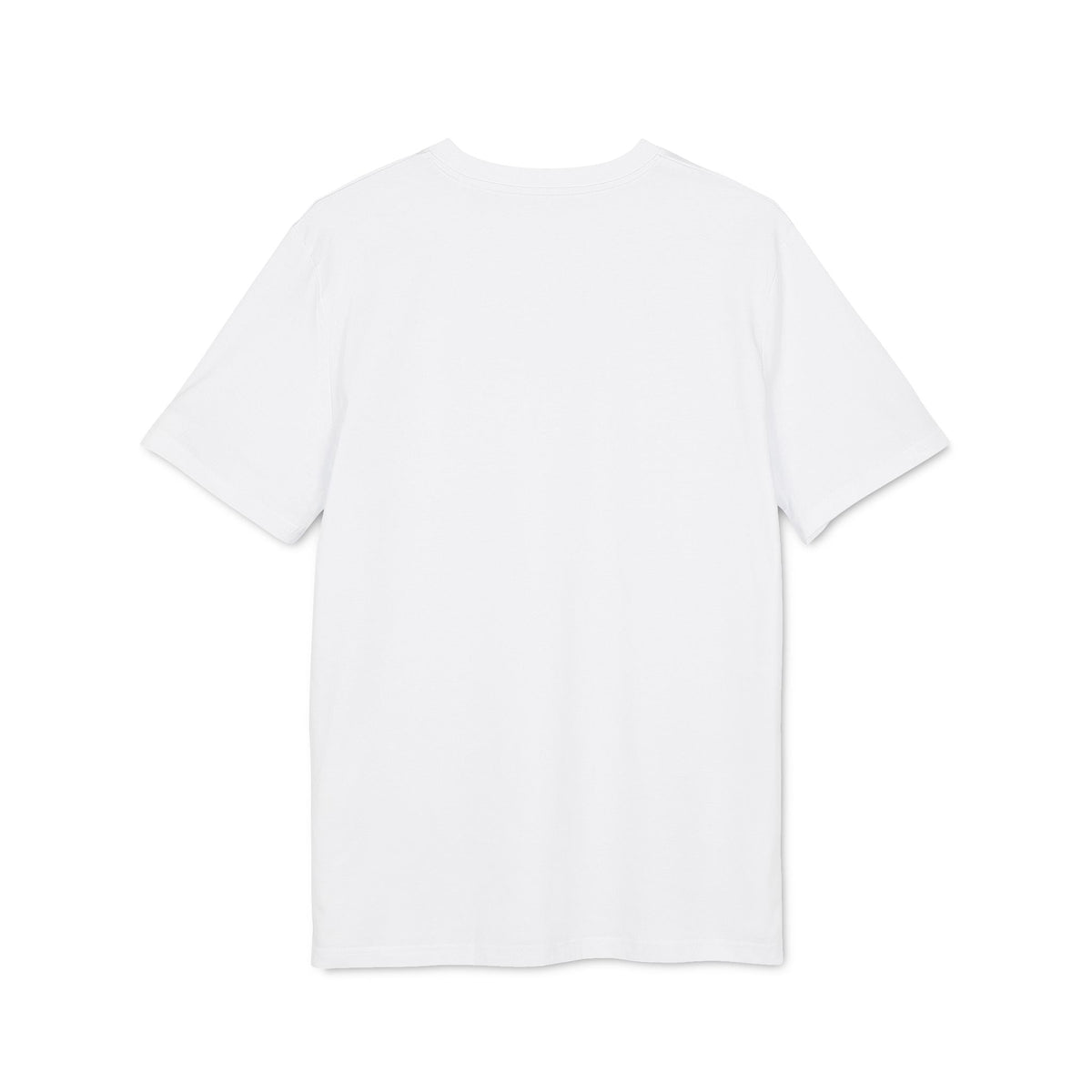 Printify ColdSteez (CS013T) – "ColdWings" T-Shirt T-Shirt 