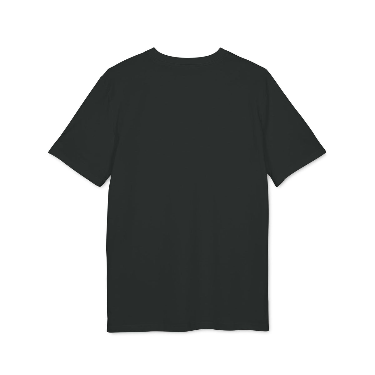 Printify ColdSteez (CS013T) – "ColdWings" T-Shirt T-Shirt 