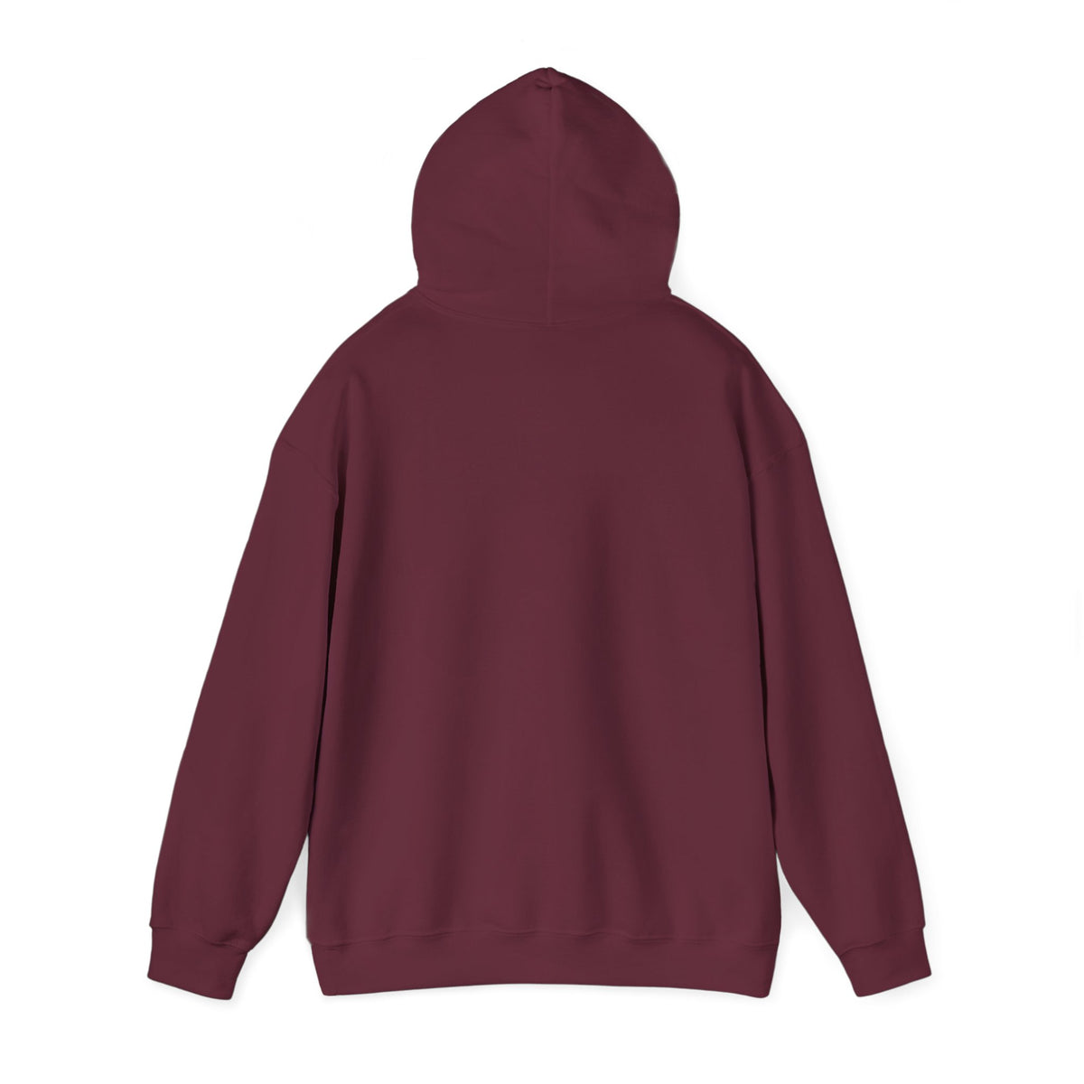 ColdSteez (CS013H) – "ColdWings" Graphic Hoodie | UK Streetwear