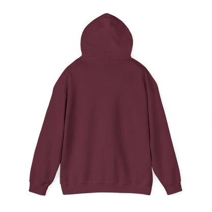 ColdSteez (CS013H) – "ColdWings" Graphic Hoodie | UK Streetwear