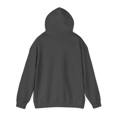 ColdSteez (CS011H) – “ColdCube” Hoodie – ColdSteez UK Streetwear