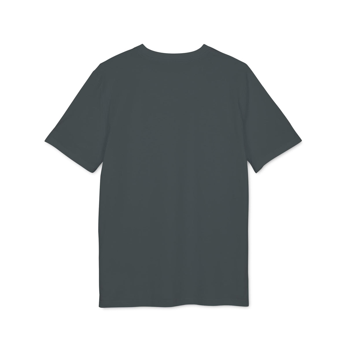 Printify ColdSteez (CS013T) – "ColdWings" T-Shirt T-Shirt 
