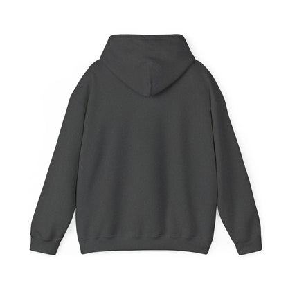 ColdSteez (CS011H) – “ColdCube” Hoodie – ColdSteez UK Streetwear