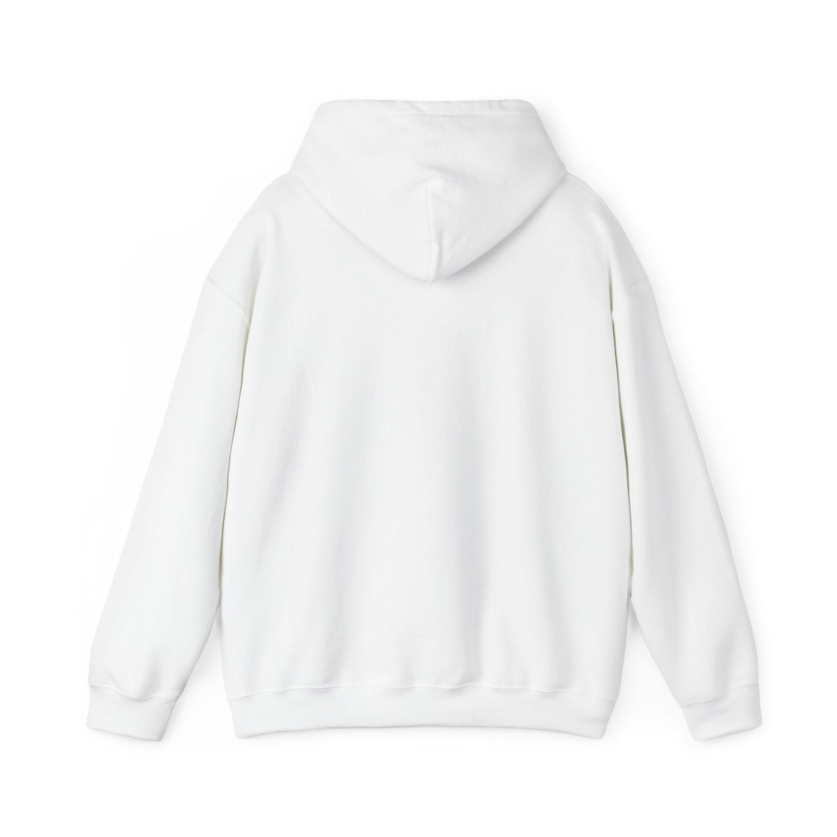 ColdSteez (CS013H) – "ColdWings" Graphic Hoodie | UK Streetwear