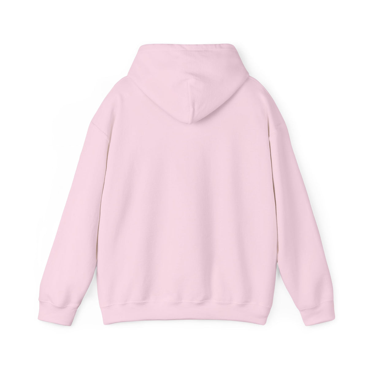 ColdSteez (CS013H) – "ColdWings" Graphic Hoodie | UK Streetwear