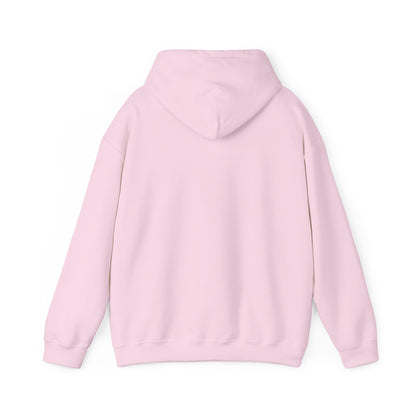 ColdSteez (CS013H) – "ColdWings" Graphic Hoodie | UK Streetwear