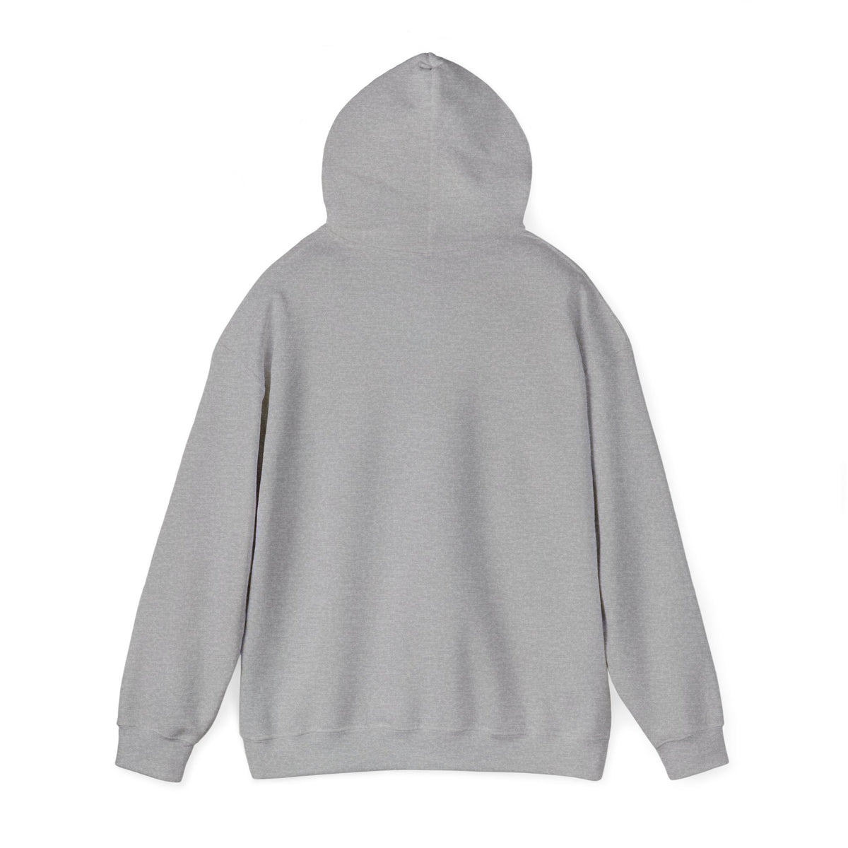 ColdSteez (CS013H) – "ColdWings" Graphic Hoodie | UK Streetwear