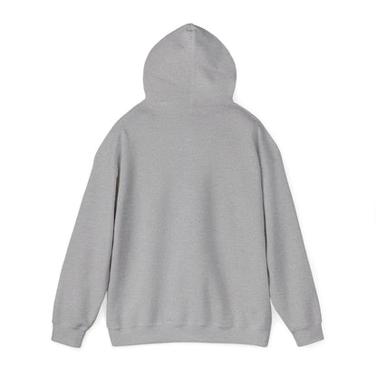 ColdSteez (CS013H) – "ColdWings" Graphic Hoodie | UK Streetwear