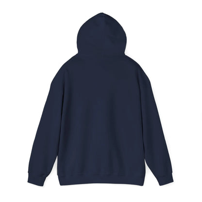ColdSteez (CS011H) – “ColdCube” Hoodie – ColdSteez UK Streetwear