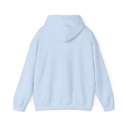 ColdSteez (CS013H) – "ColdWings" Graphic Hoodie | UK Streetwear