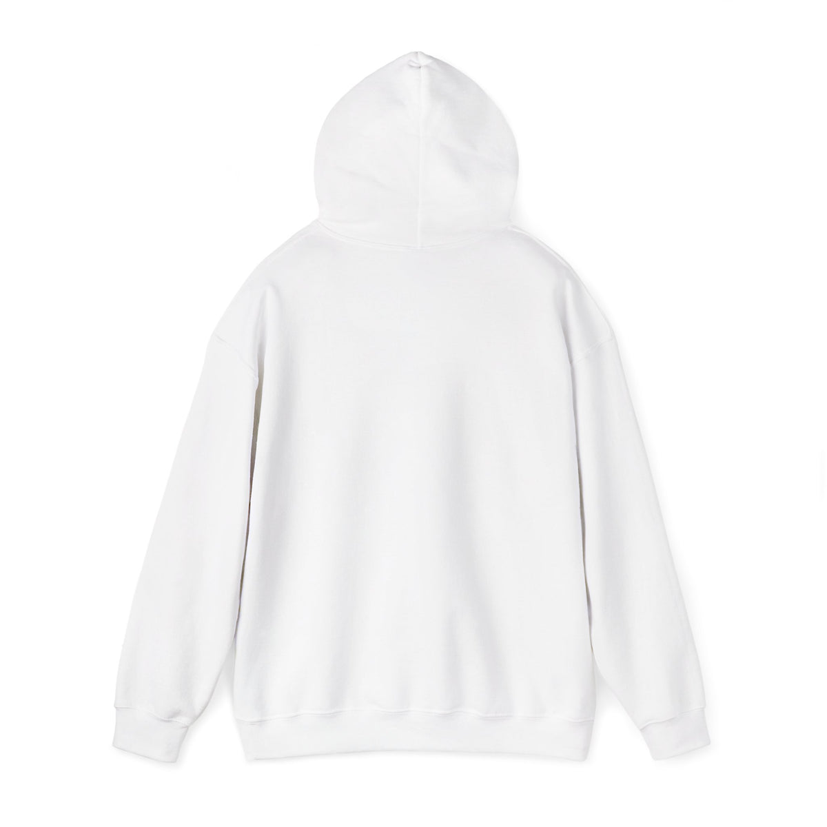 ColdSteez (CS013H) – "ColdWings" Graphic Hoodie | UK Streetwear