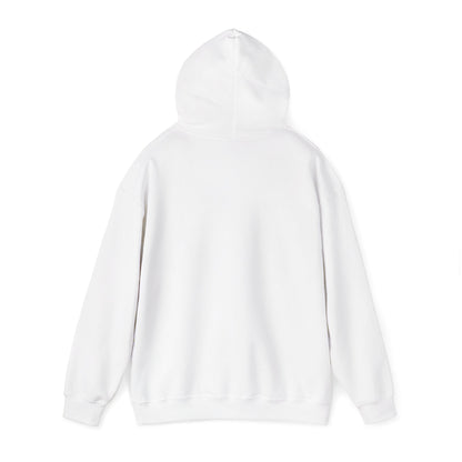 ColdSteez (CS013H) – "ColdWings" Graphic Hoodie | UK Streetwear