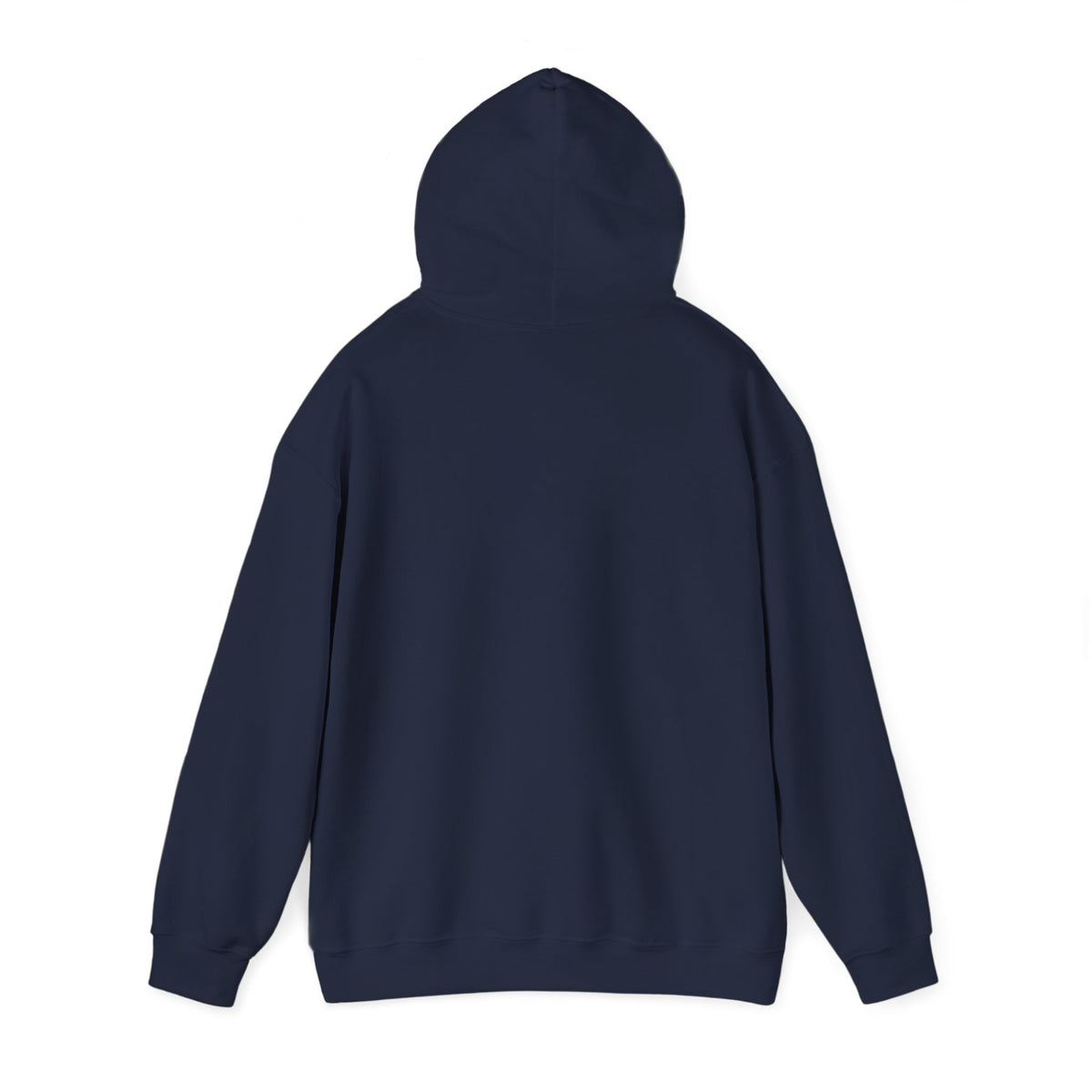 ColdSteez (CS013H) – "ColdWings" Graphic Hoodie | UK Streetwear