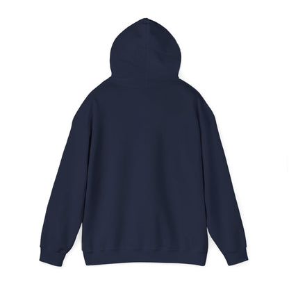 ColdSteez (CS013H) – "ColdWings" Graphic Hoodie | UK Streetwear