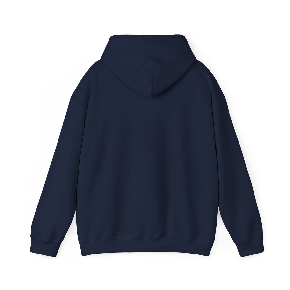 ColdSteez (CS013H) – "ColdWings" Graphic Hoodie | UK Streetwear