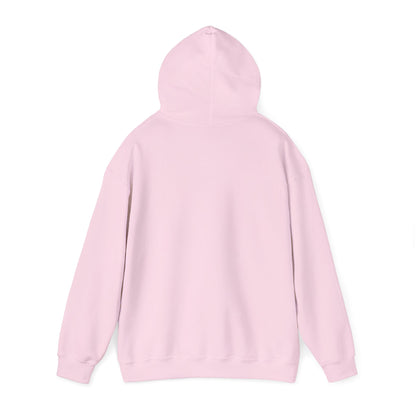ColdSteez (CS013H) – "ColdWings" Graphic Hoodie | UK Streetwear